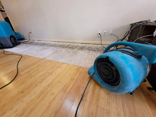 Professional Basement Flood Cleanup technician working in New Lisbon, WI
